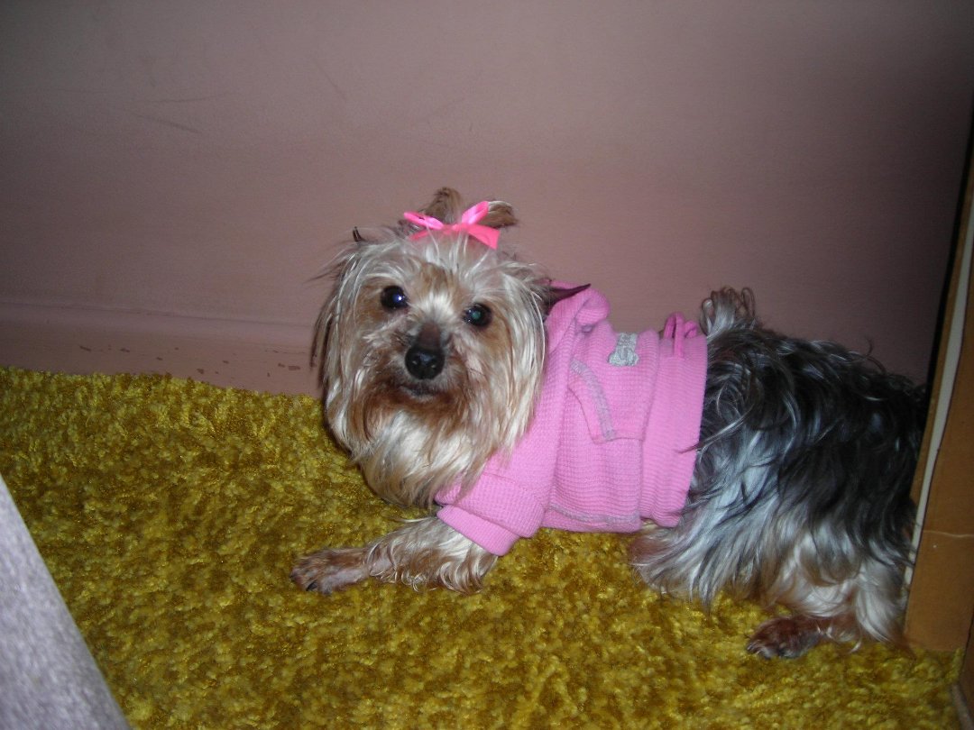 Connie Countryman's album, Sophie's 1st day home
