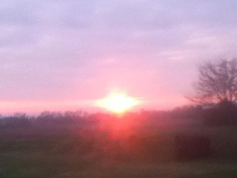 Michael Gannon's album, iOS Photos