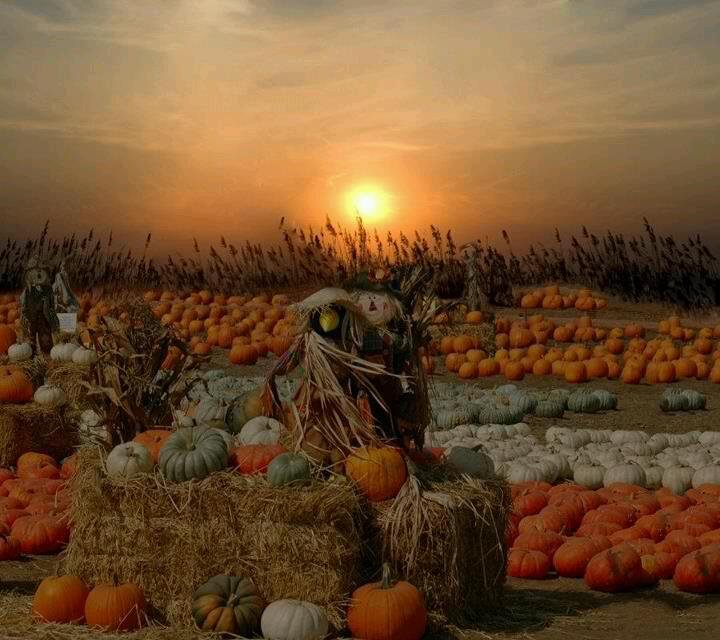 donna walden's album, Cover Photos