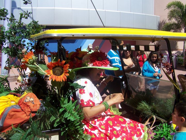Peter Ticknor's album, Flower show at Epcot