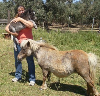 Cindy Eastland's album, May 11, 2011
