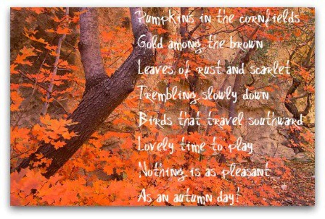 Jerrie Foxe's album, Timeline Photos
