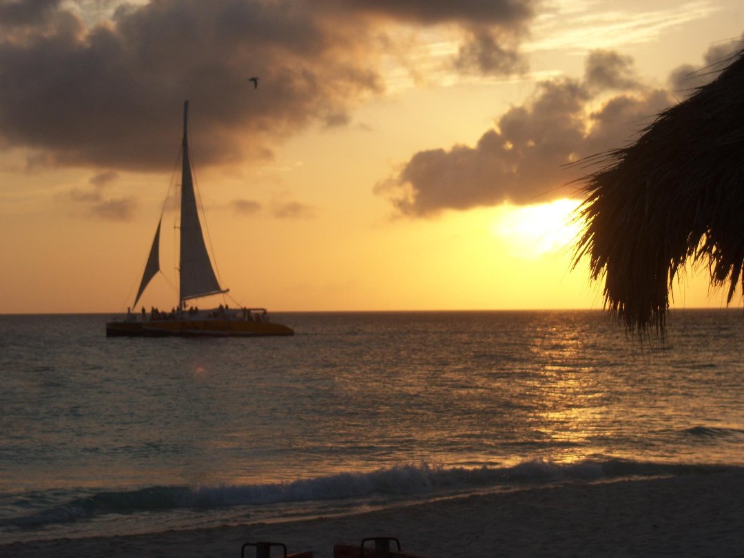 Susan Lovasco's album, Cover Photos