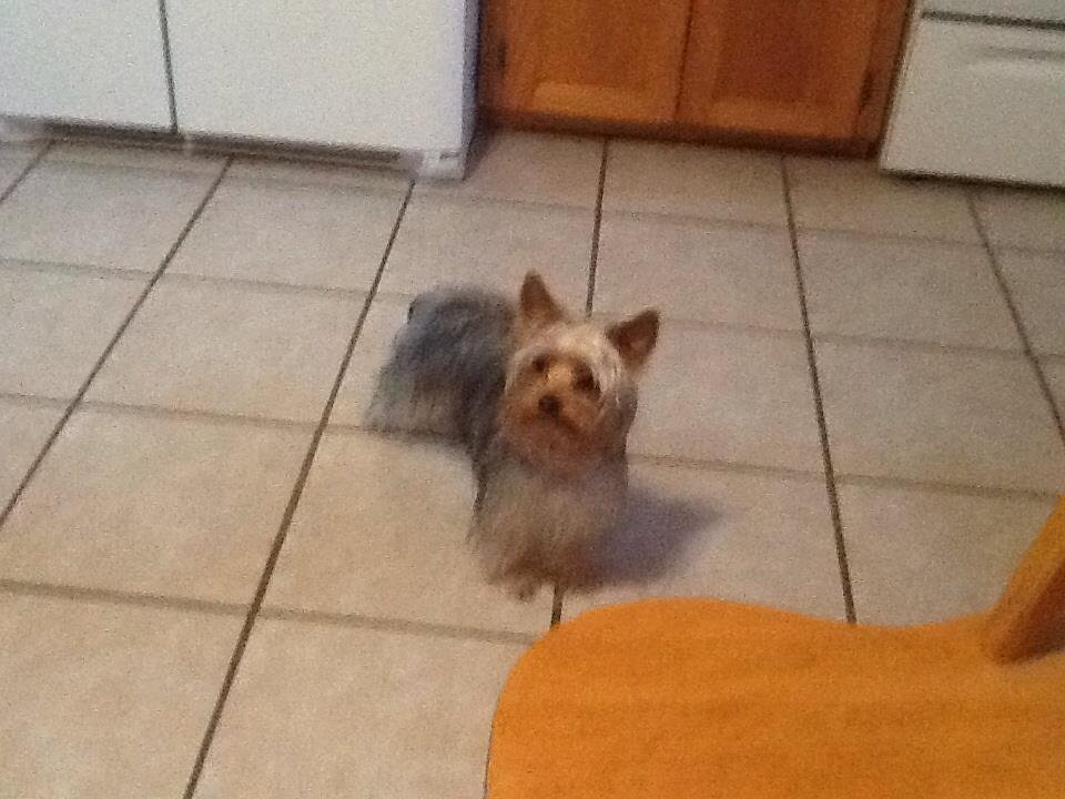 Terry Munn's album, iOS Photos