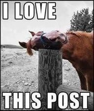 Teri Adams' album, Timeline Photos