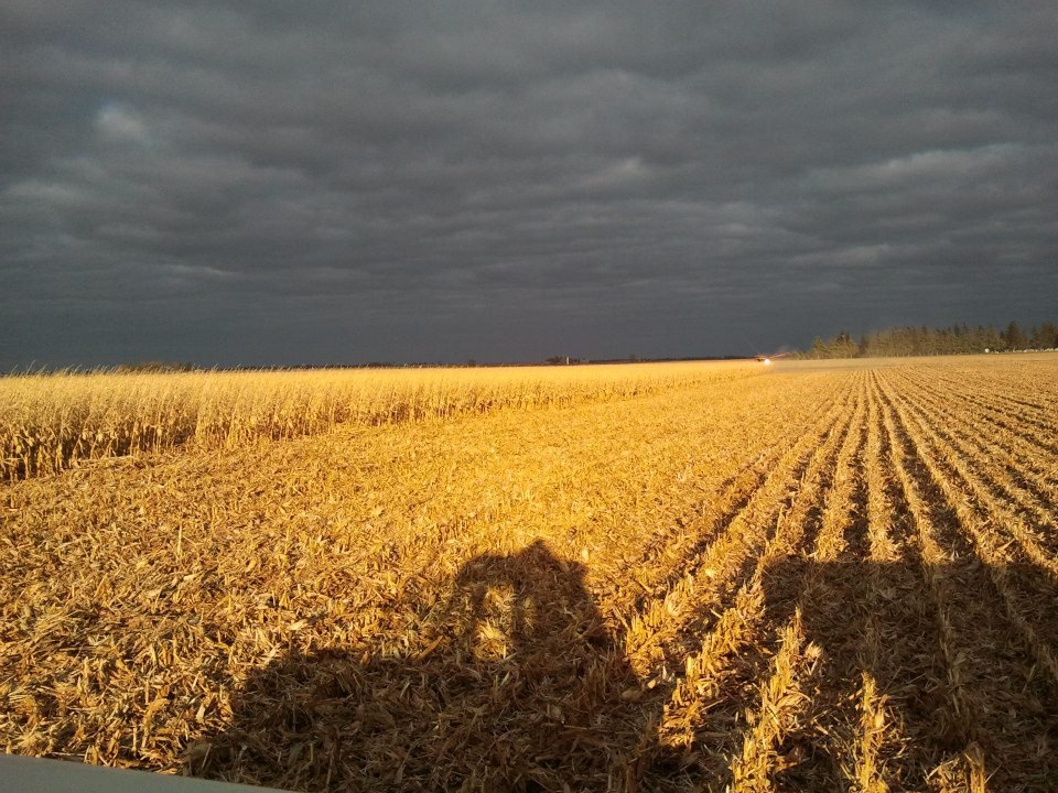 Christopher Simonson's album, Iowa Harvest 2012