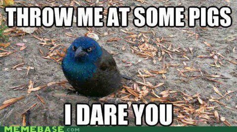 Pete Chittick's album, Timeline Photos