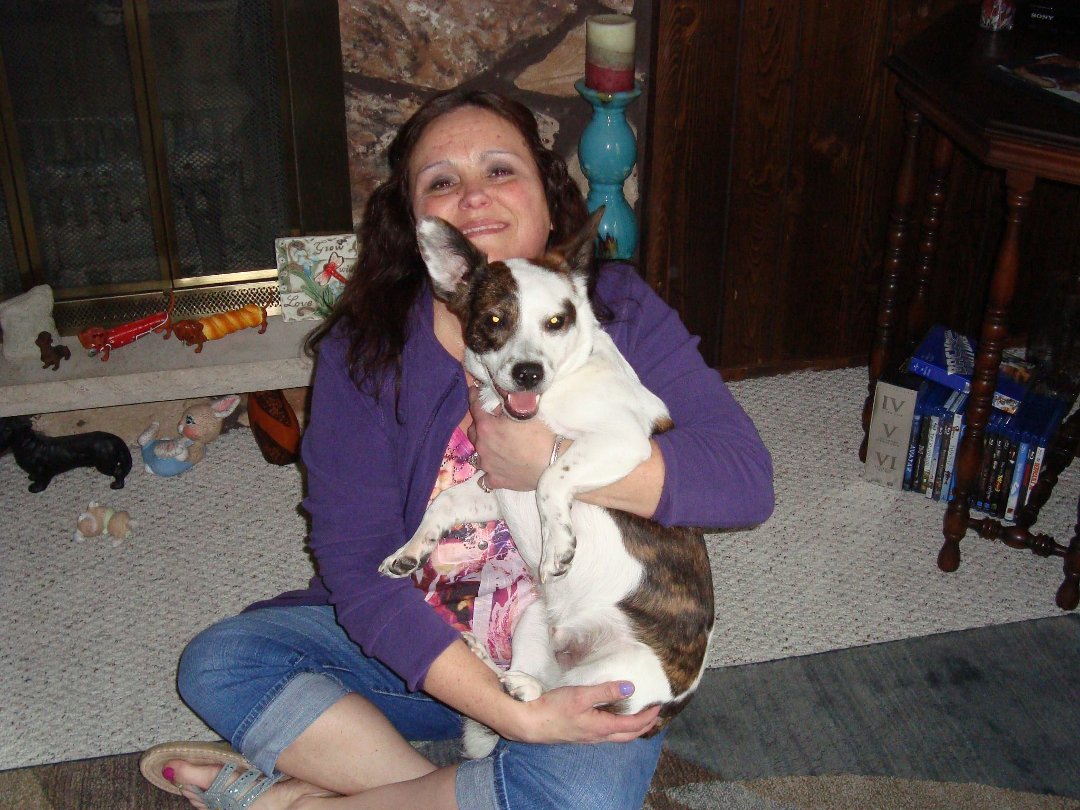 Jane Hanna's album, Profile Pictures