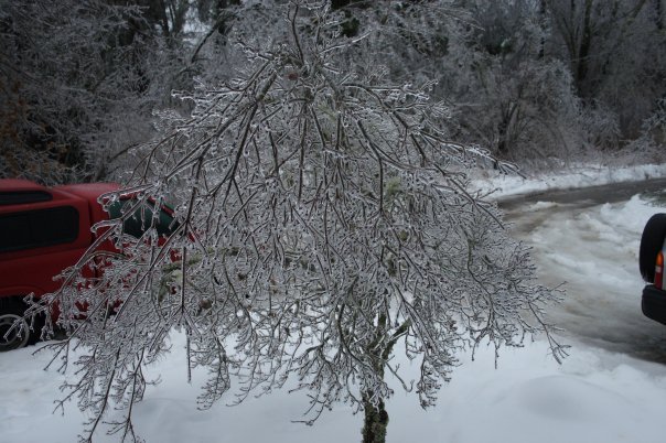 James Wicker's album, Christmas Ice Storm 2009