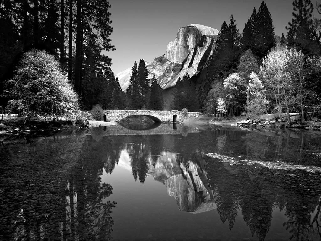 Michael Boebel's album, Cover Photos