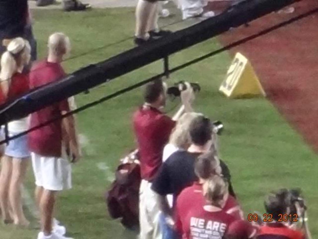 Jeff Clark's album, FSU VS Clemson September 22, 2012