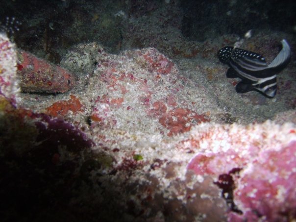 Tim Barker's album, Cozumel 4
