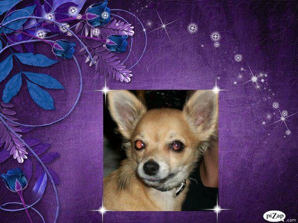 Judy dotson's album, Cover Photos