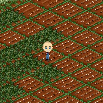 Nick Clute's album, FarmVille Photos
