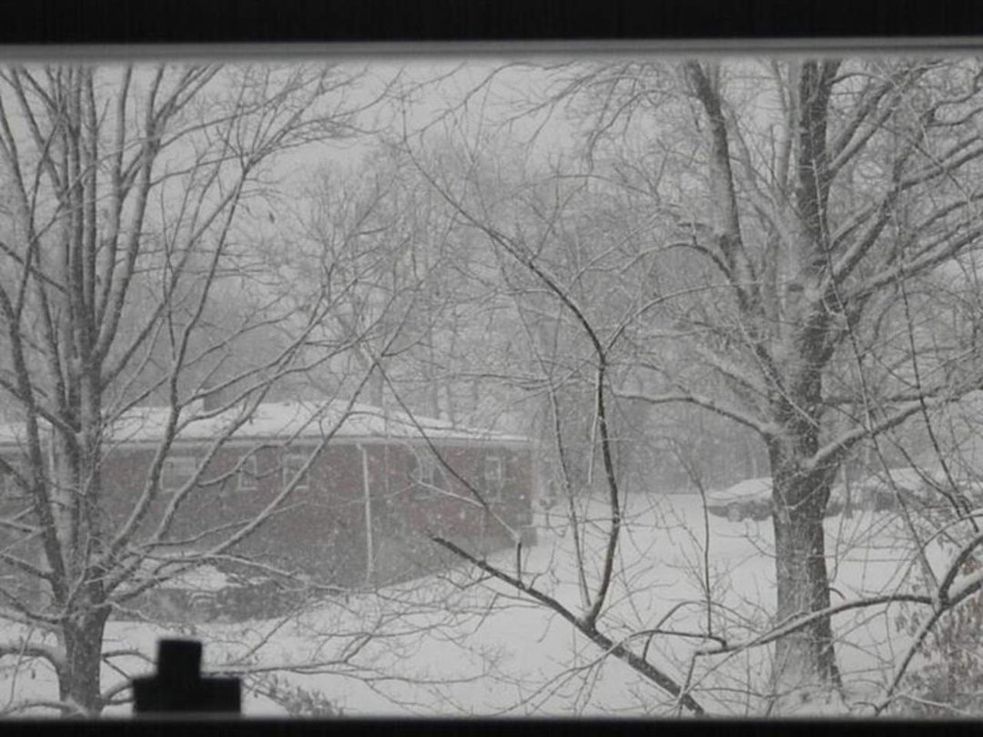 Lori Johnson's album, THE FIRST SNOW OF 2O12
