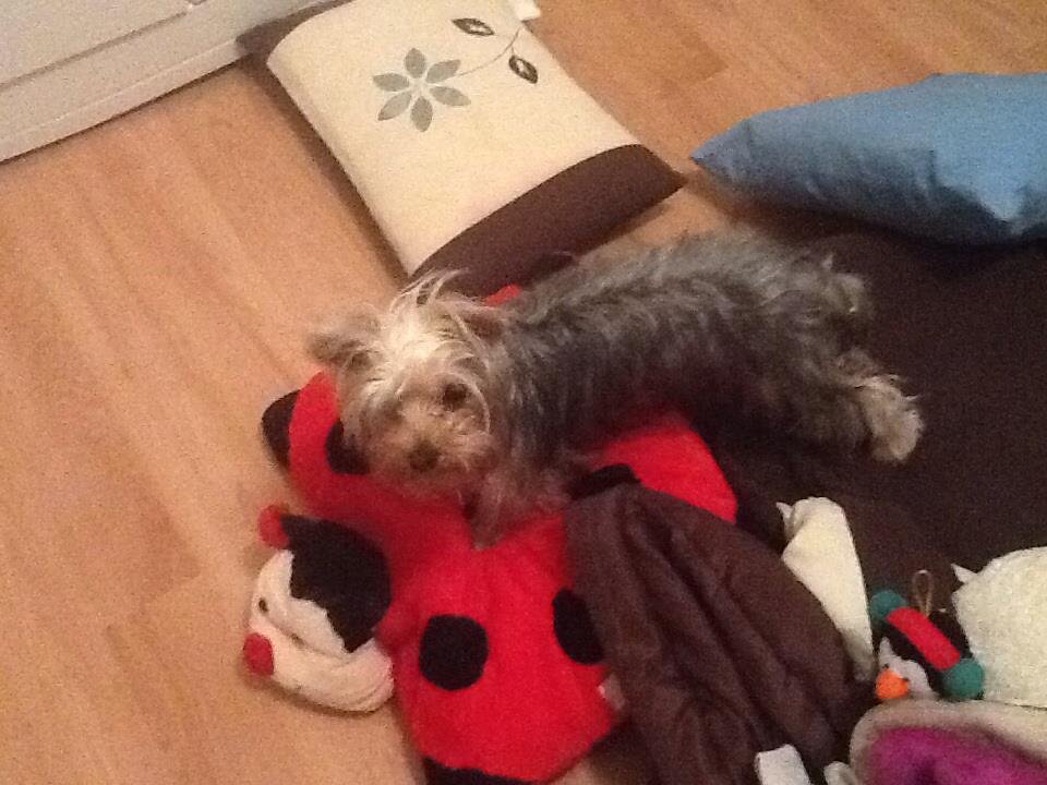 Terry Munn's album, iOS Photos