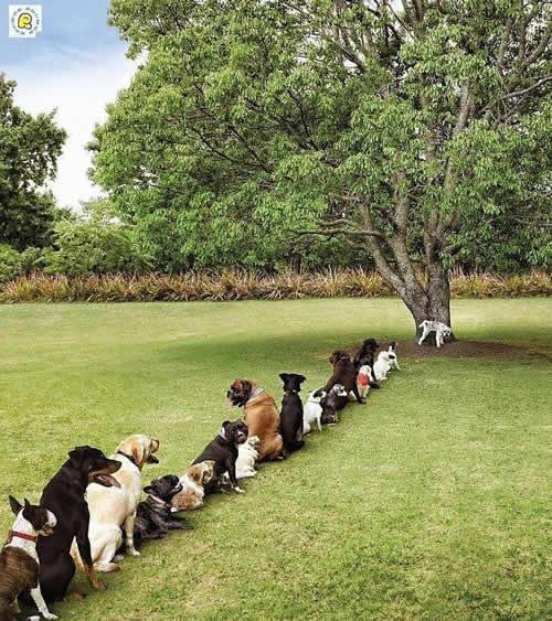 Emma Chadwick's album, Timeline Photos