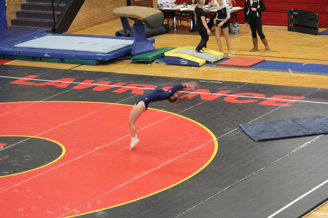 Mike Mann's album, State Gymnastics