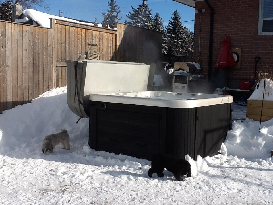 John Mark's album, Winter Hot tub