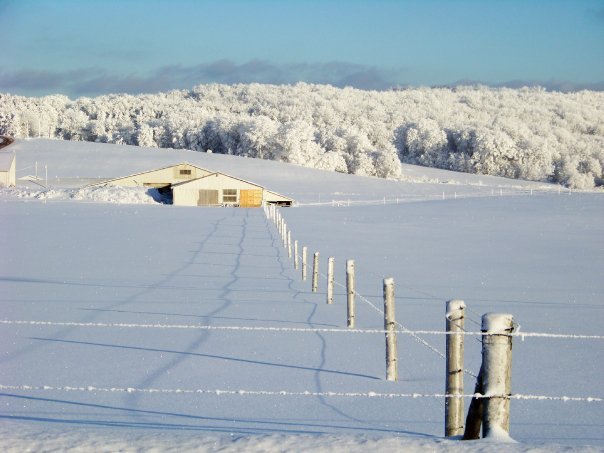 Kathryn Pfendler's album, Snow Day