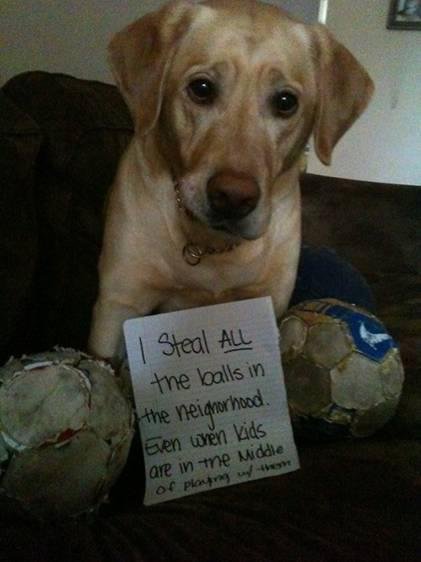 tracy andrus' album, Timeline Photos