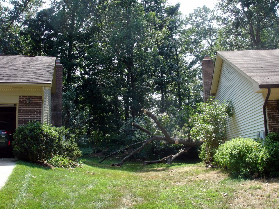 Robert Toense's album, Derecho storm of 6/29/2012