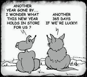 Beth Funston's album, Timeline Photos