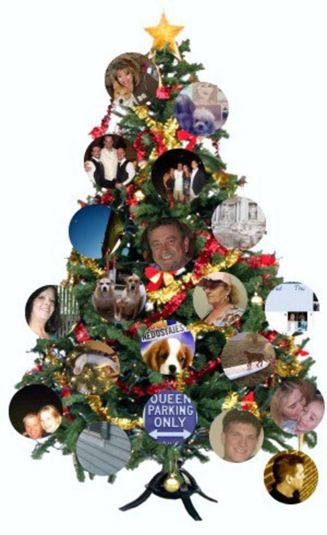 Barbara Sullivan's album, Best Christmas Friends Photos