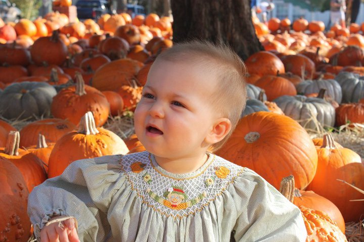 Davis Collins' album, Collins at the Pumpkin Patch