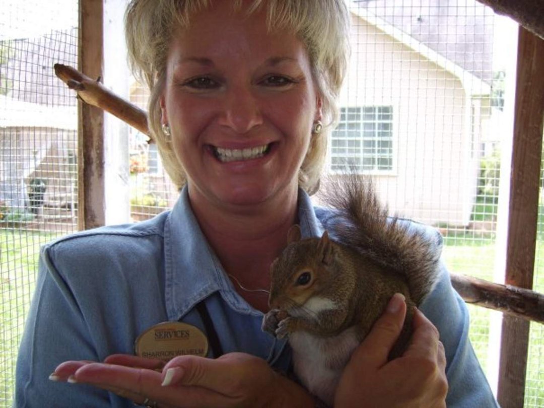 Sharron Wilhelm's album, Profile Pictures