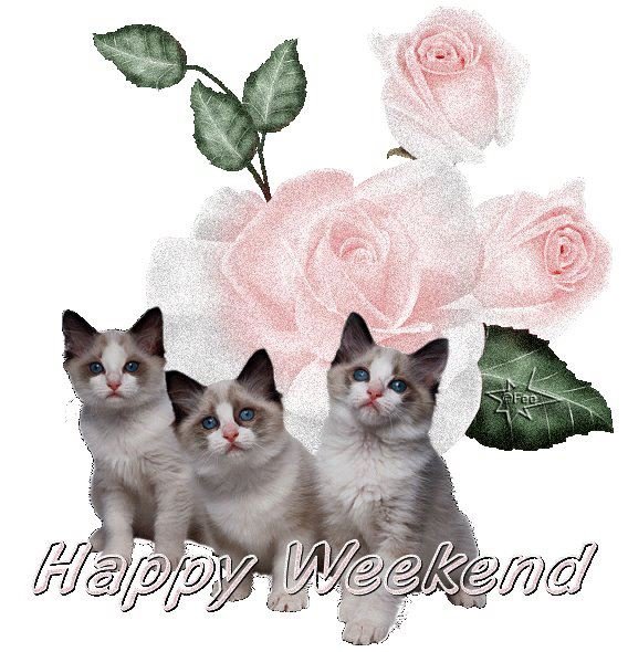 Joan Mierzwa's album, Timeline Photos