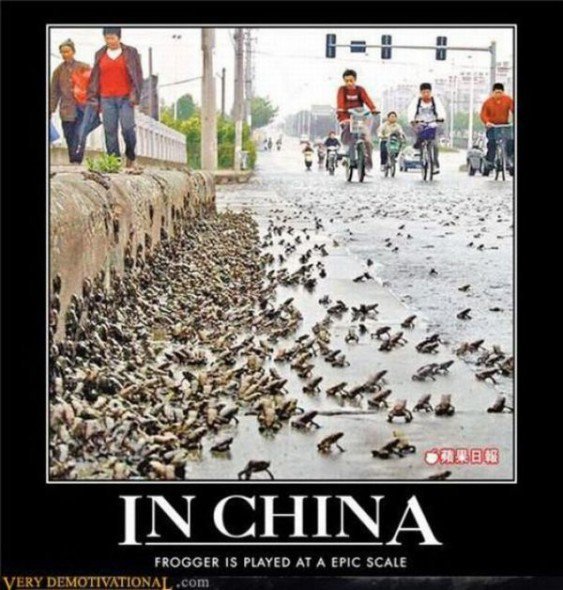 Chris Hawk's album, funny pics