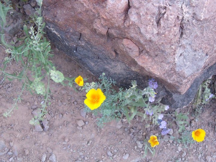 Robert Stevens' album, Picacho_Peak Hike