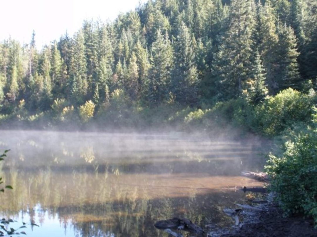 Susan Foley's album, Hiking at Wildwood Rec area and Mirror Lake
