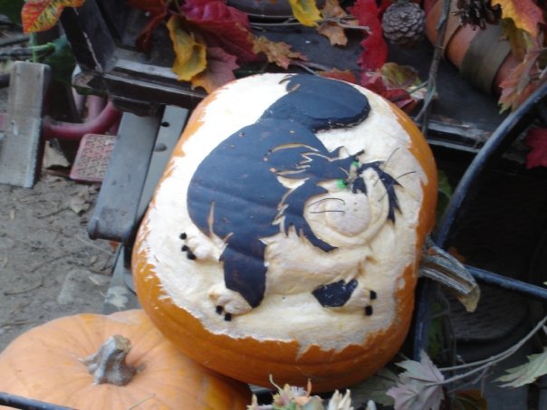 Elizabeth Harris' album, Halloween at Disneyland