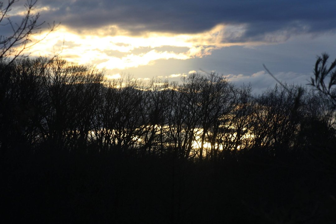Jeff Grill's album, Cover Photos