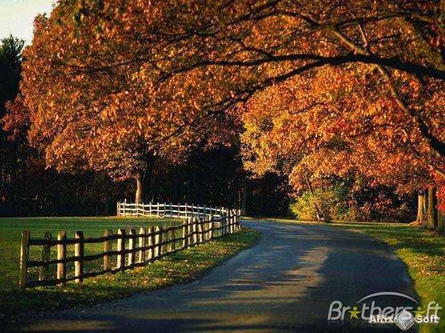 Rosanne Cotchen's album, Cover Photos