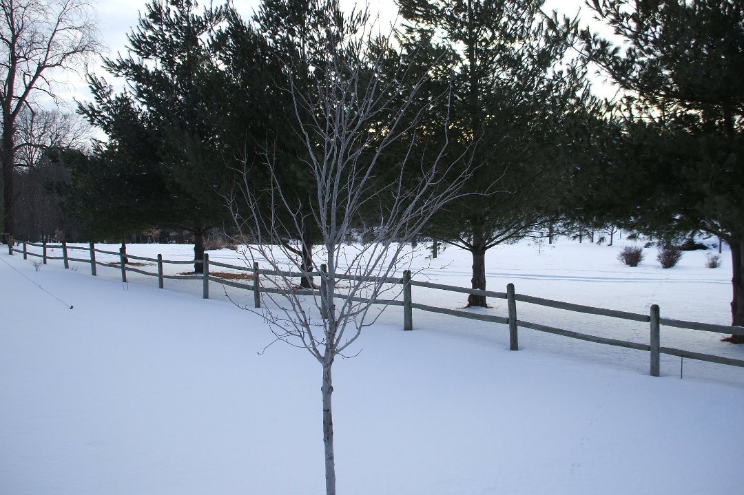 Randy Denniston's album, Cover Photos
