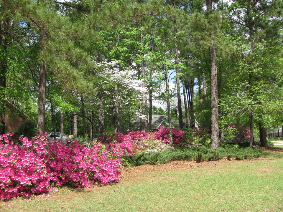 Carol Roberts' album, Warner Robins March 2012