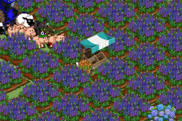 Lark Mathis' album, FarmVille Photos