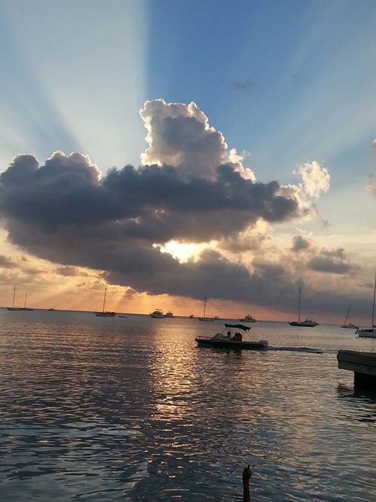 Ronald Tobin's album, Mobile Uploads