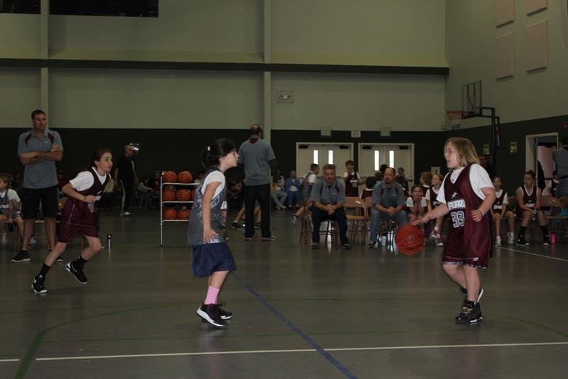 Bev Howard's album, Upward Basketball
