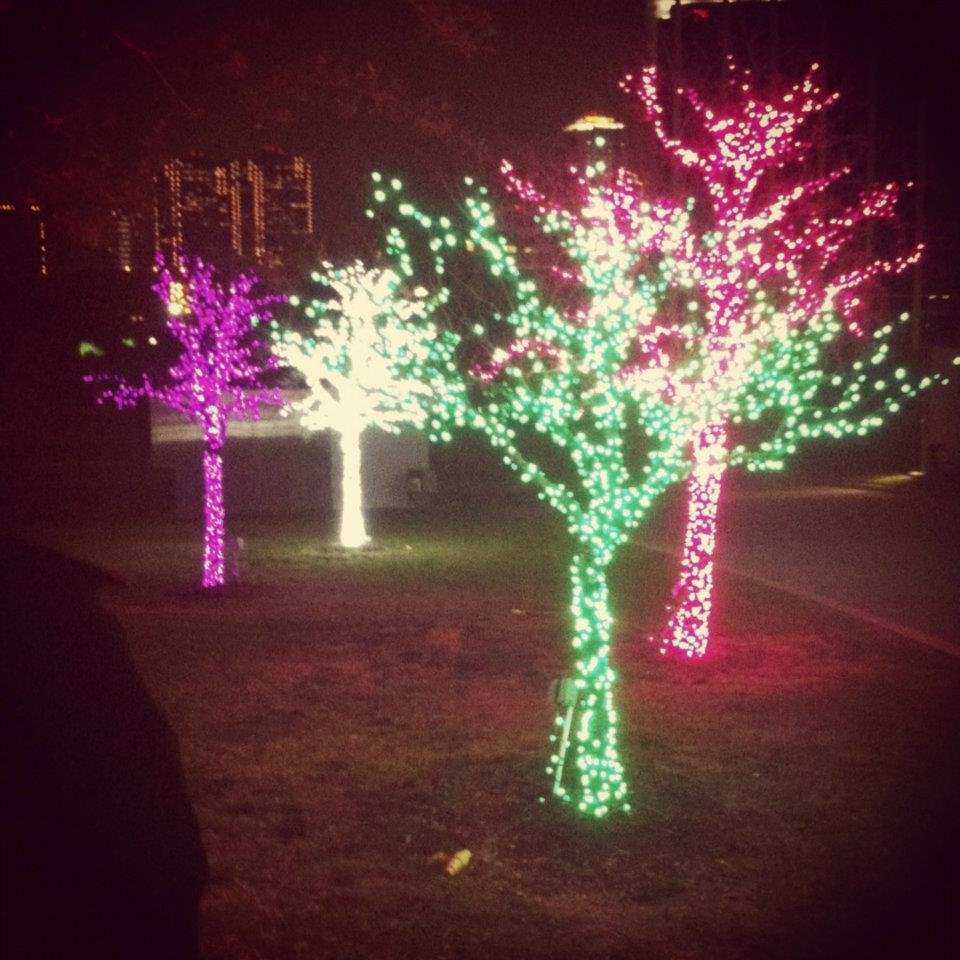 Illa Thompson's album, Christmas 2011