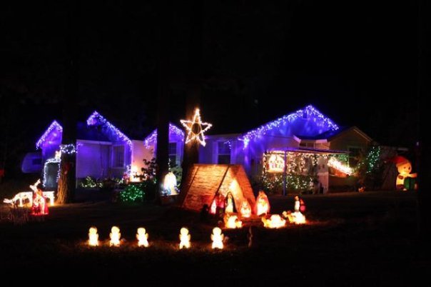 Dennis Bashor's album, Christmas 2009 lights and pets