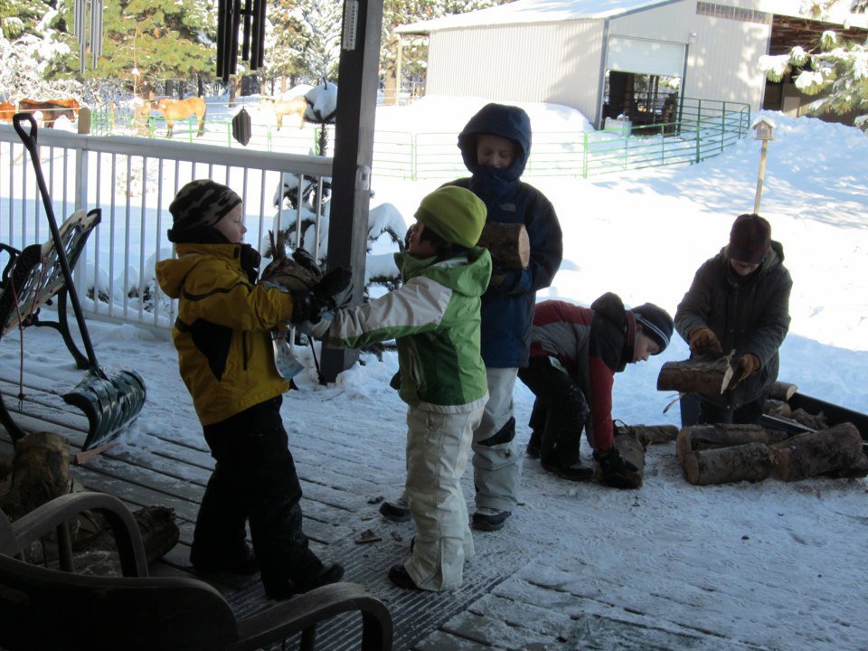Marion Queen's album, 1/2011- Getting wood with kids