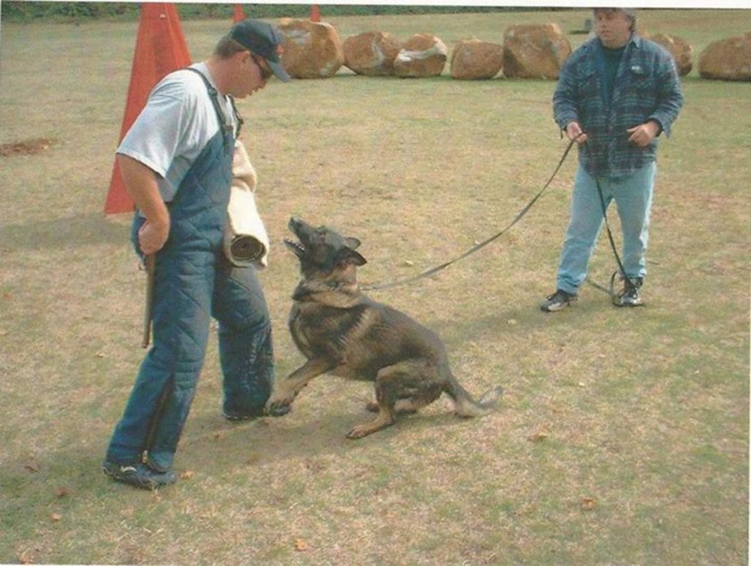 Ray Blomberg's album, Working Dogs