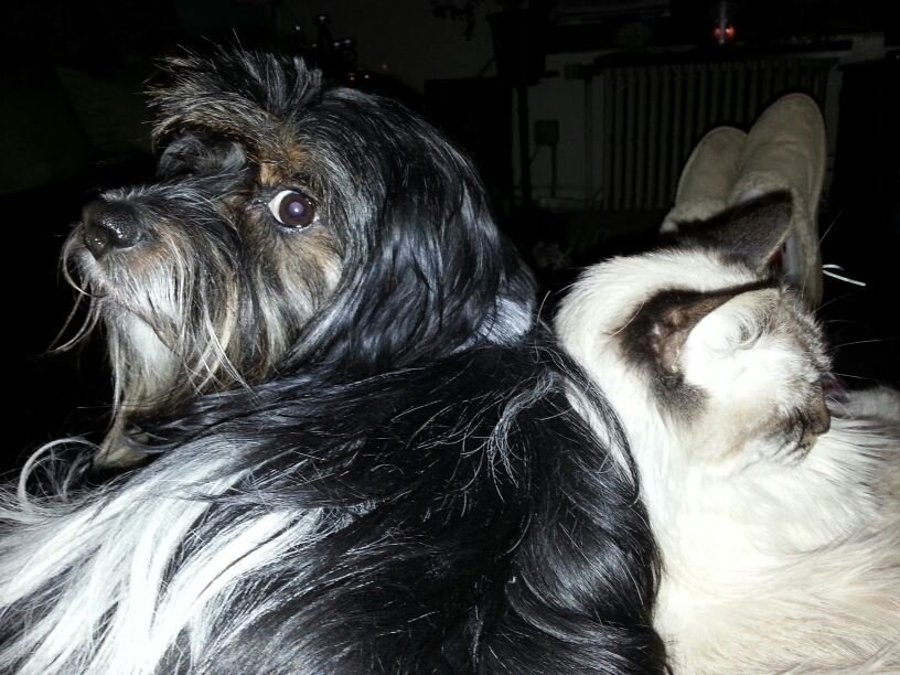 Beth Kanaby's album, Cover Photos