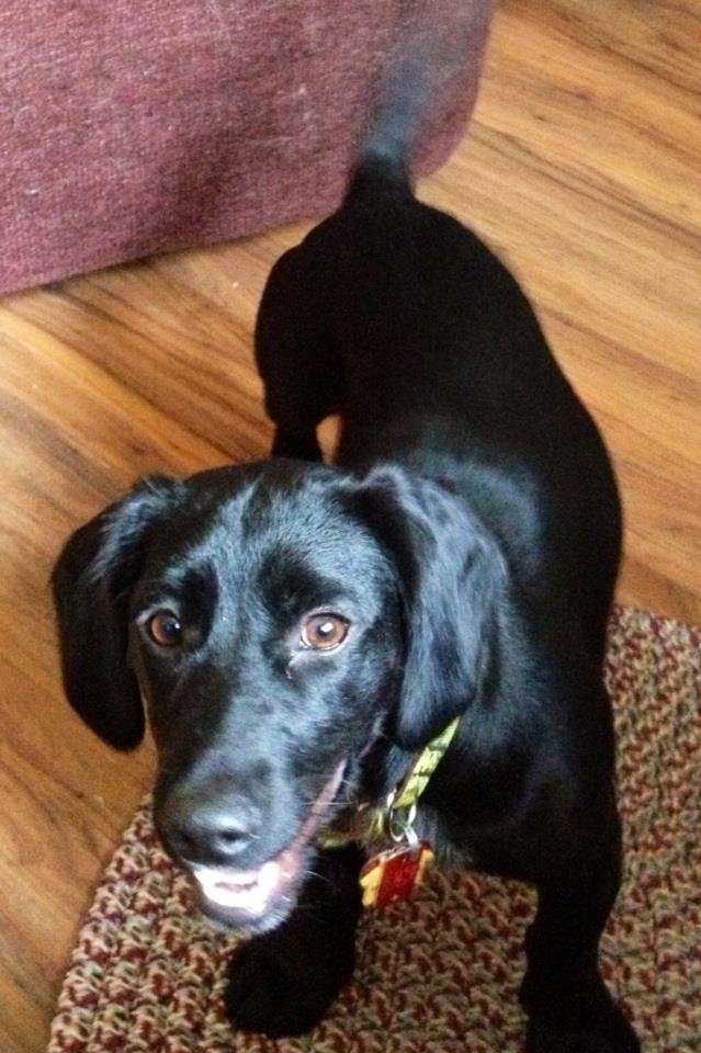 Michaelene Boatwright's album, iOS Photos