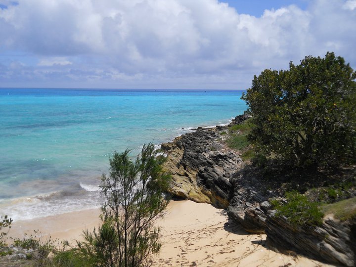 Tracy Robertson's album, Bermuda 2011