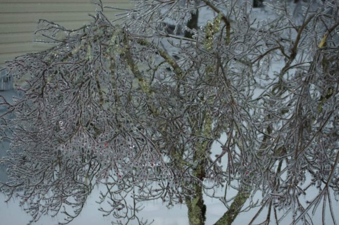 James Wicker's album, Christmas Ice Storm 2009